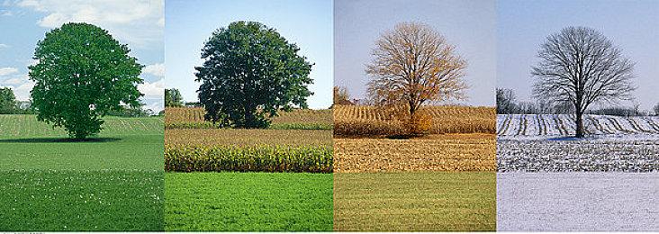 截至2023年4月Xbox Series X|S和Xbox 360生涯销量对比